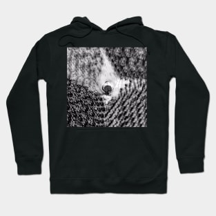 Peacock Black Hoodie